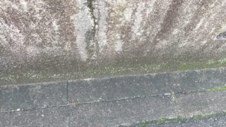 団地の掃除